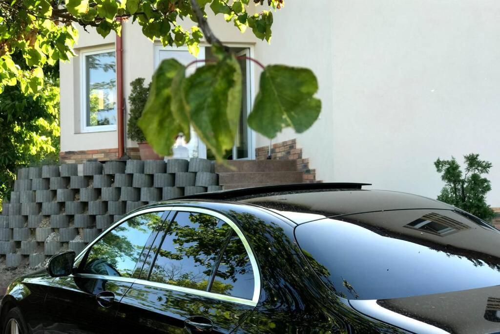 'New' Sunkissed Villa On The Old Hill Balatonalmádi Exterior photo