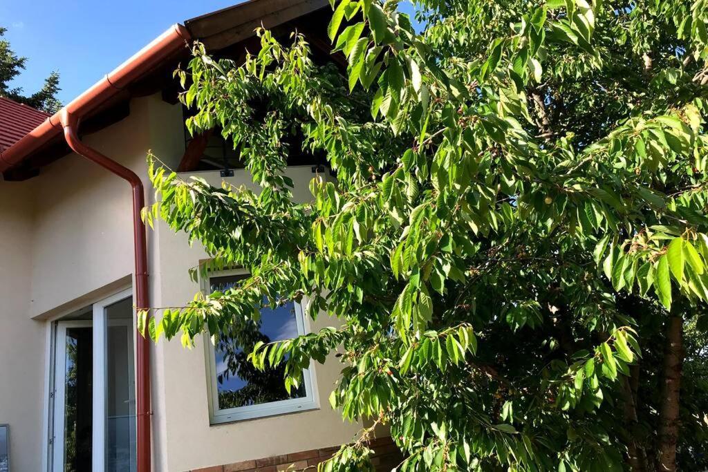 'New' Sunkissed Villa On The Old Hill Balatonalmádi Exterior photo