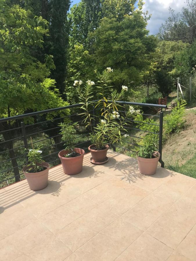 'New' Sunkissed Villa On The Old Hill Balatonalmádi Exterior photo